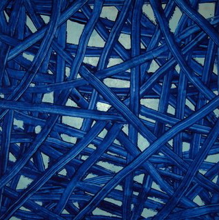 nouveaux petits chiens